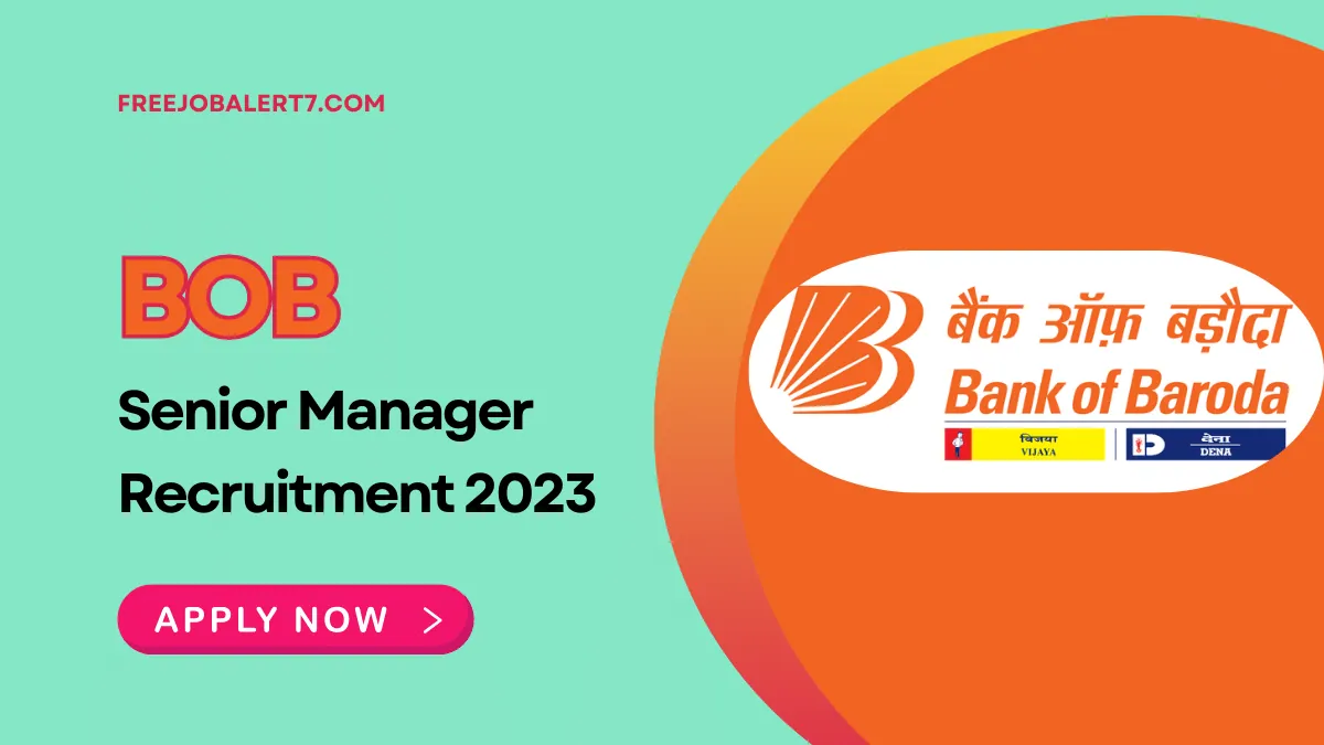 BOB Senior Manager Recruitment 2023 – Notification out for 250 Vacancies